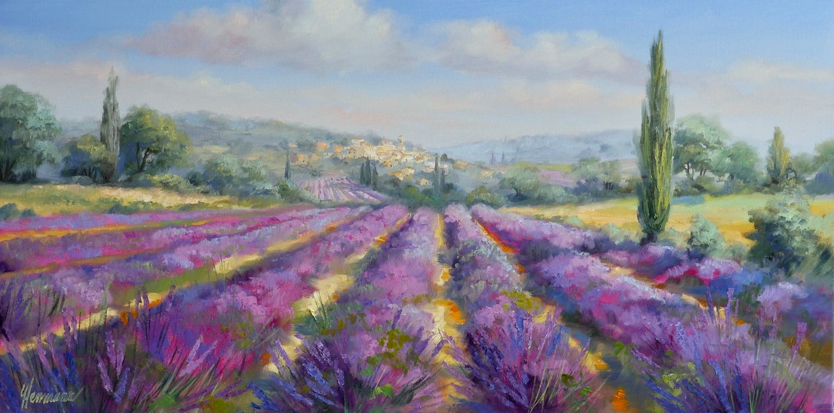 Ute Herrmann - Rows of lavender in the Luberon