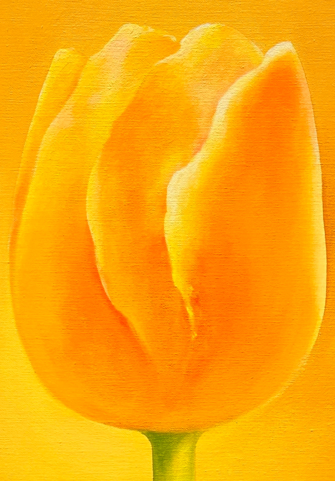 Claude E. Matié Lichttulpe IV - Galerie Vogel