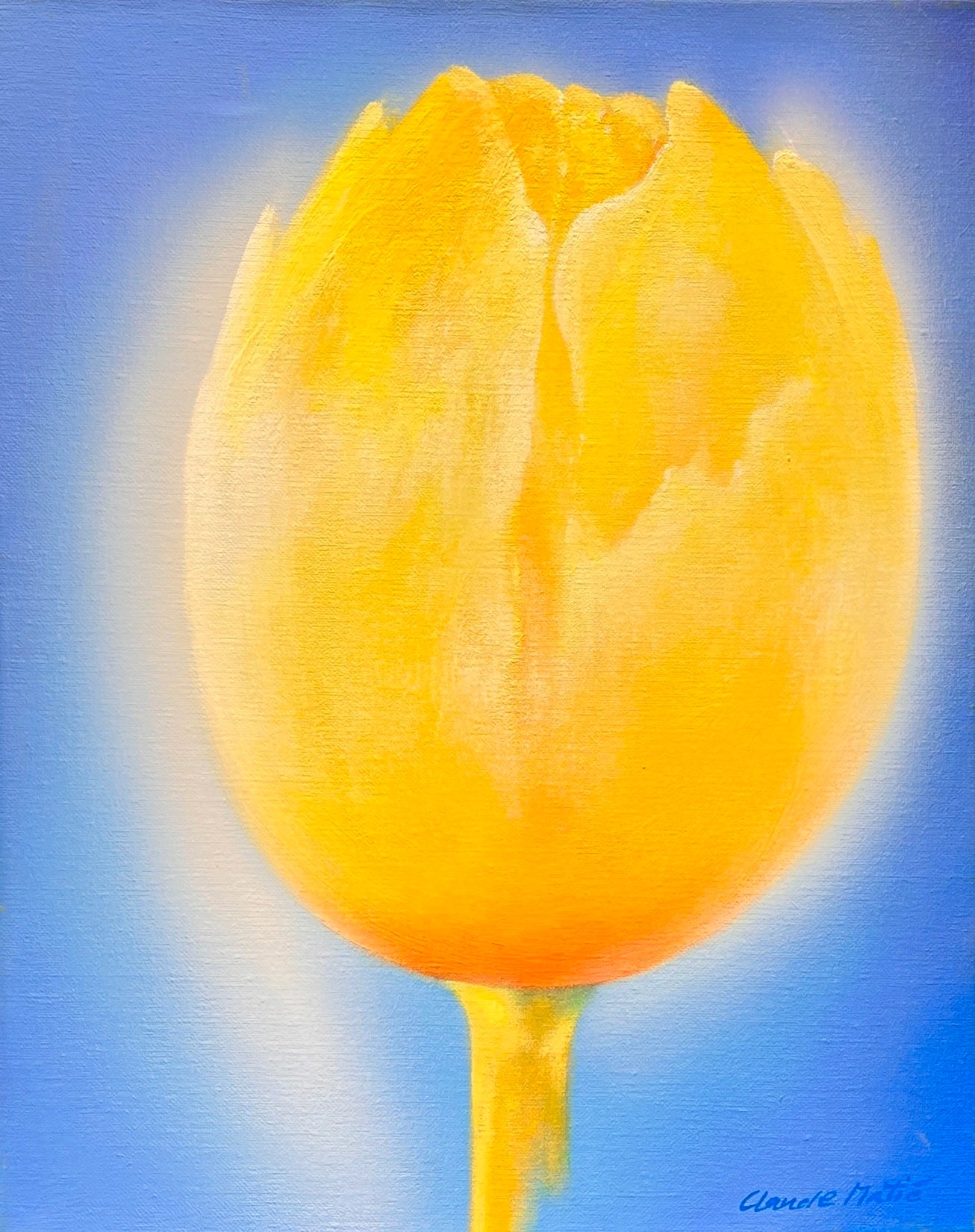 Claude E. Matié Tulpe im Gegenlicht I - Galerie Vogel