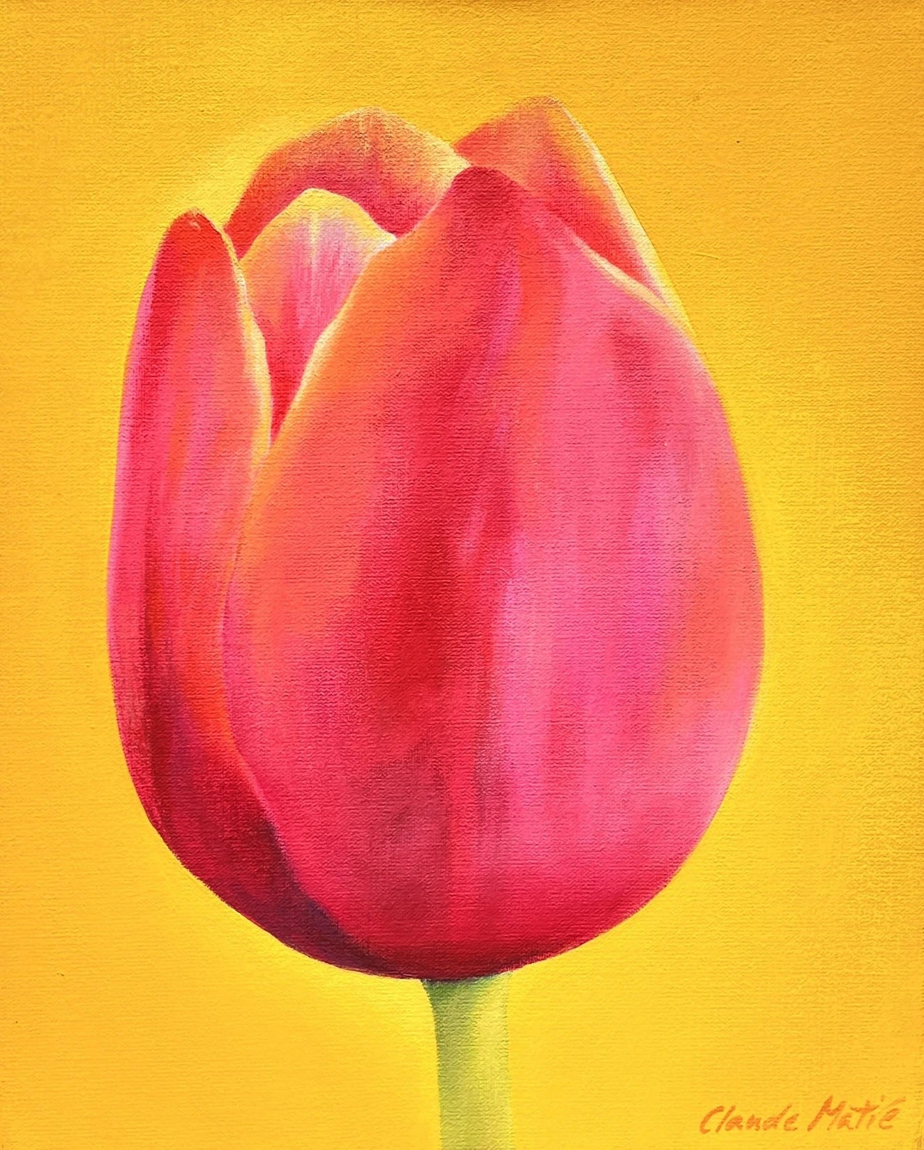 Claude E. Matié Pink Beauty - Galerie Vogel