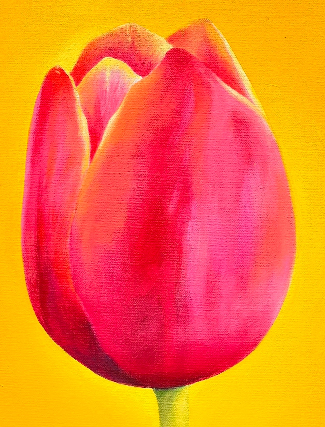 Claude E. Matié Pink Beauty - Galerie Vogel