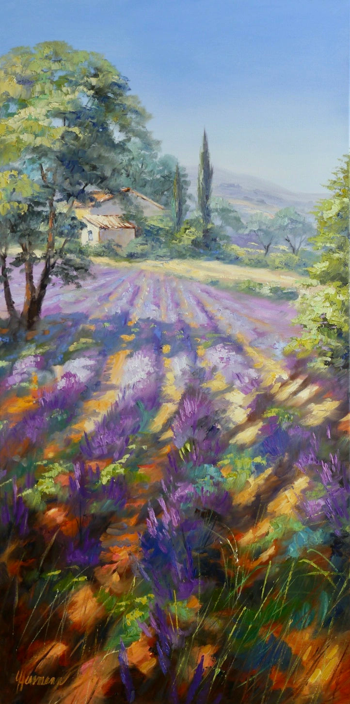 Ute Herrmann - Rows of lavender in the morning light