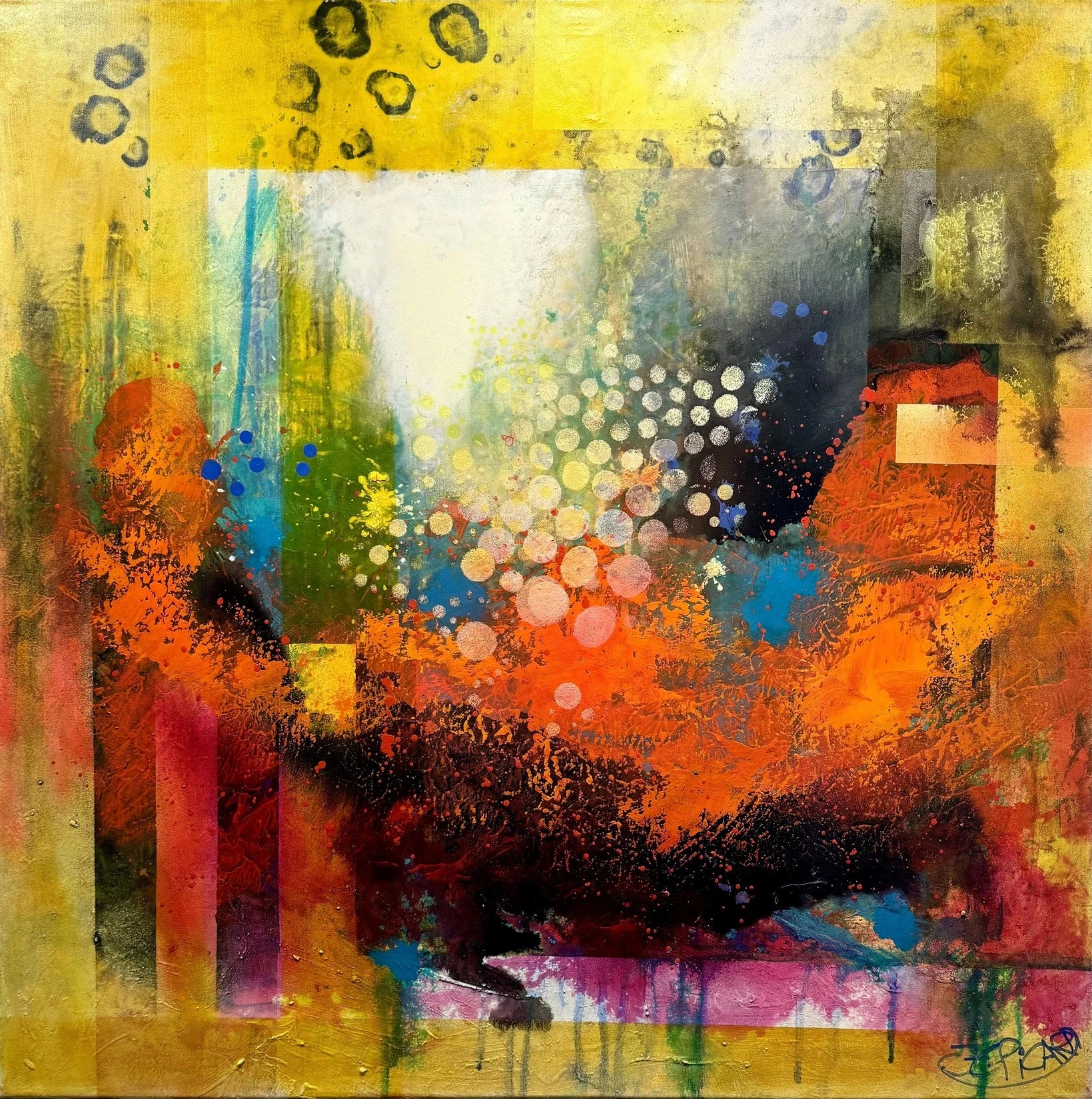 Jean-Claude Picard - Phénomènes de couleur