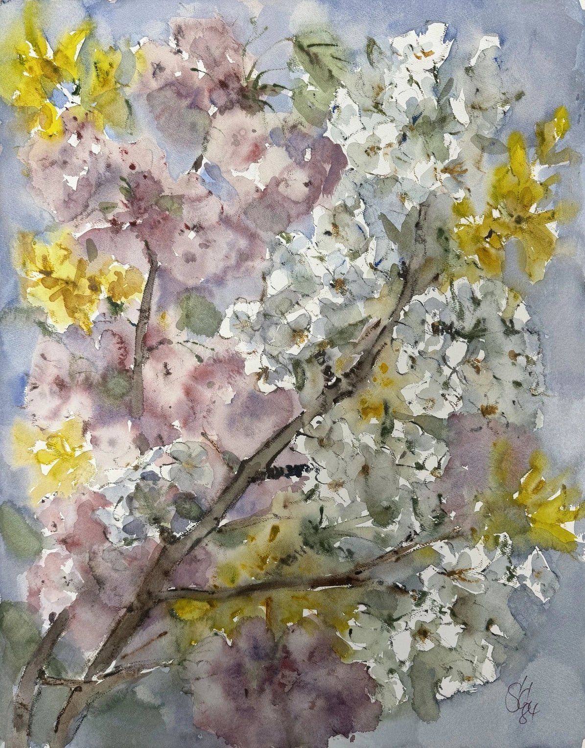 Joachim Jo Schilling: Frühlingsblüten