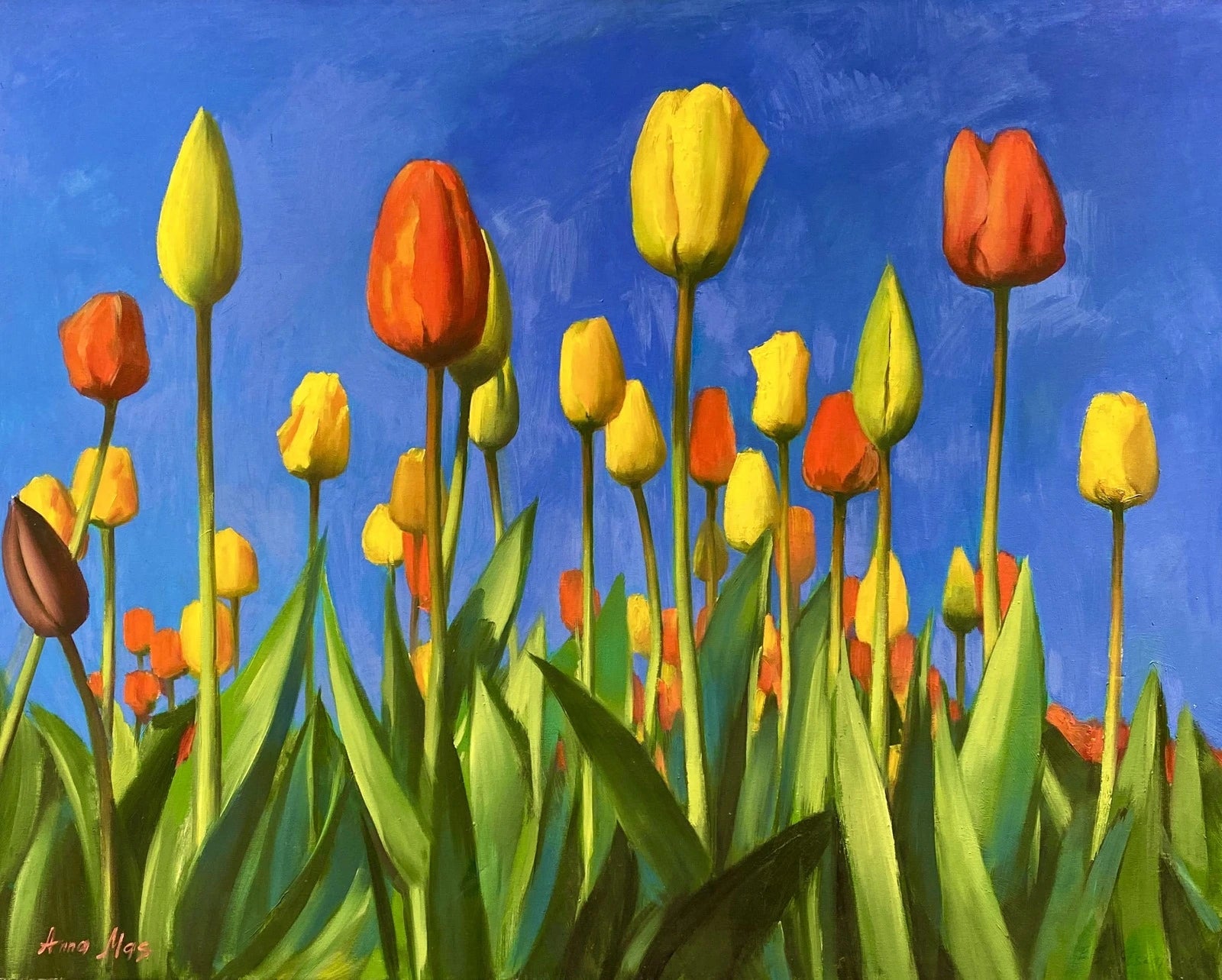 Anna Mas - Tulpenfeld in Farbe - Galerie Vogel