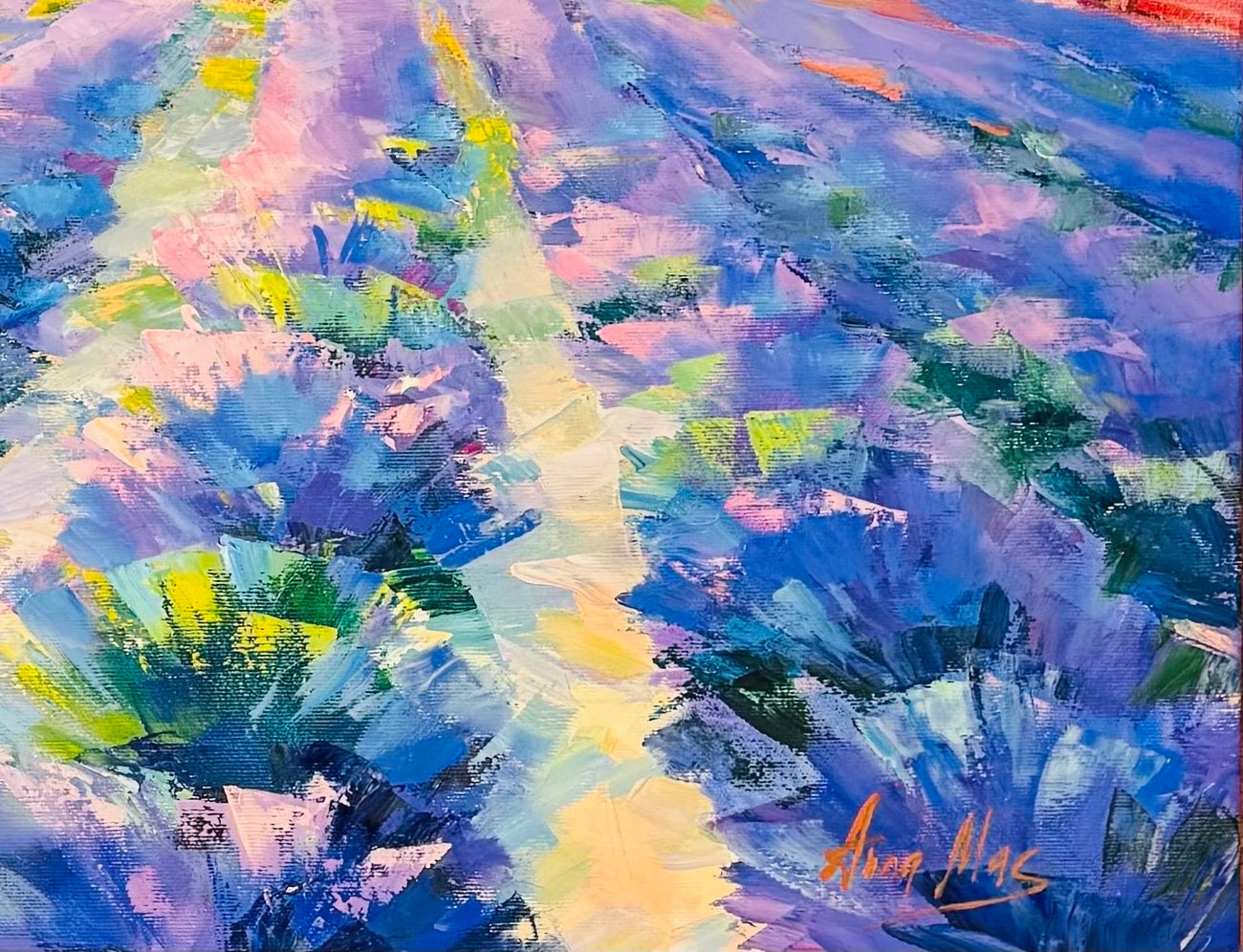 Anna Mas - Lavendelfelder im Abendlicht