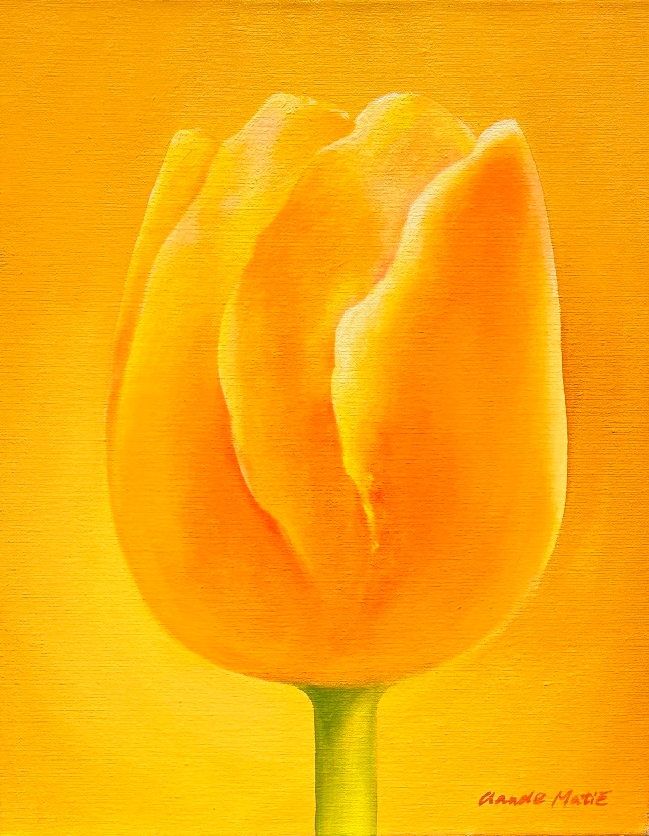 Claude E. Matié  Lichttulpe IV - Galerie Vogel