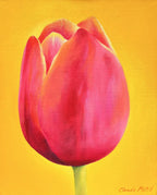 Claude E. Matié  Pink Beauty