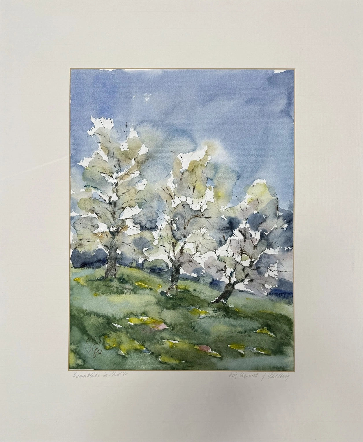 Joachim Jo Schilling: Baumblüte im Ländle
