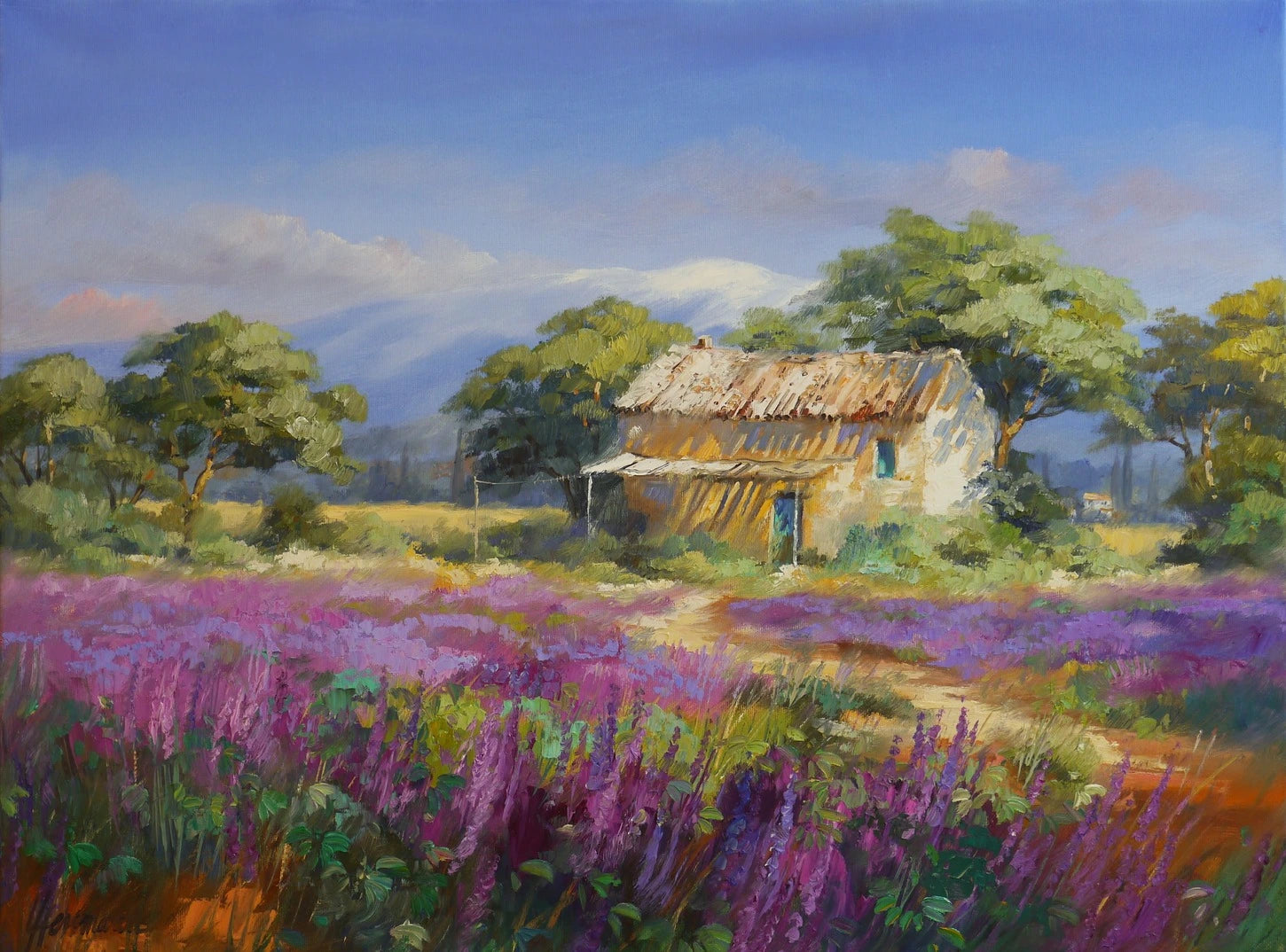 Ute Herrmann - Lavendel im Vaucluse
