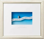 Volker Kühn "Waltz Dreams"